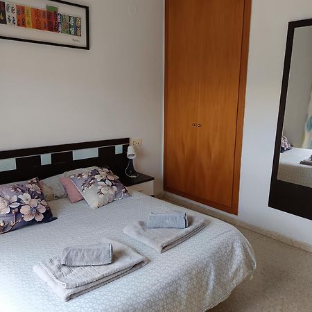 Disfruta Granada,Incluso Con Tu Mascota Parking Apartment Luaran gambar