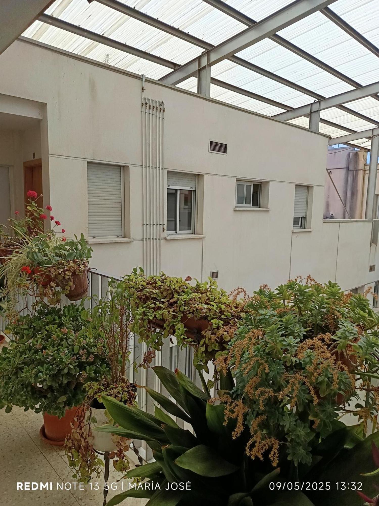 Disfruta Granada,Incluso Con Tu Mascota Parking Apartment Luaran gambar